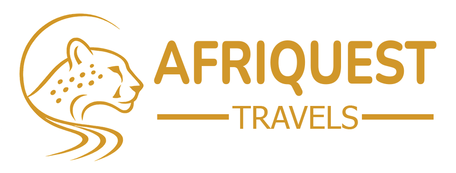 logo-image