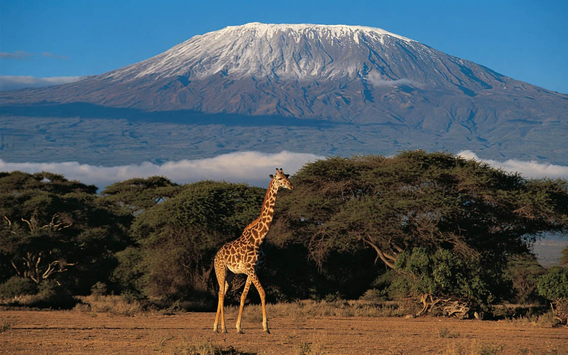 background-image