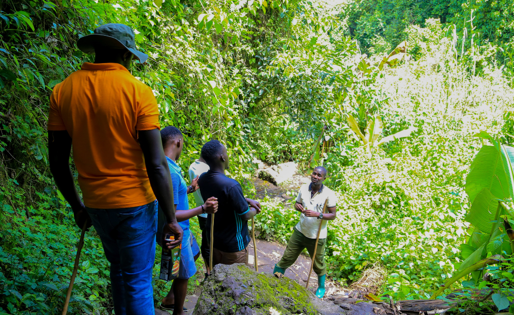 Uganda Safari Experience